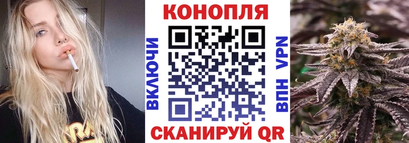 Каннабис OG Kush  Купить где  Мариинский Посад 